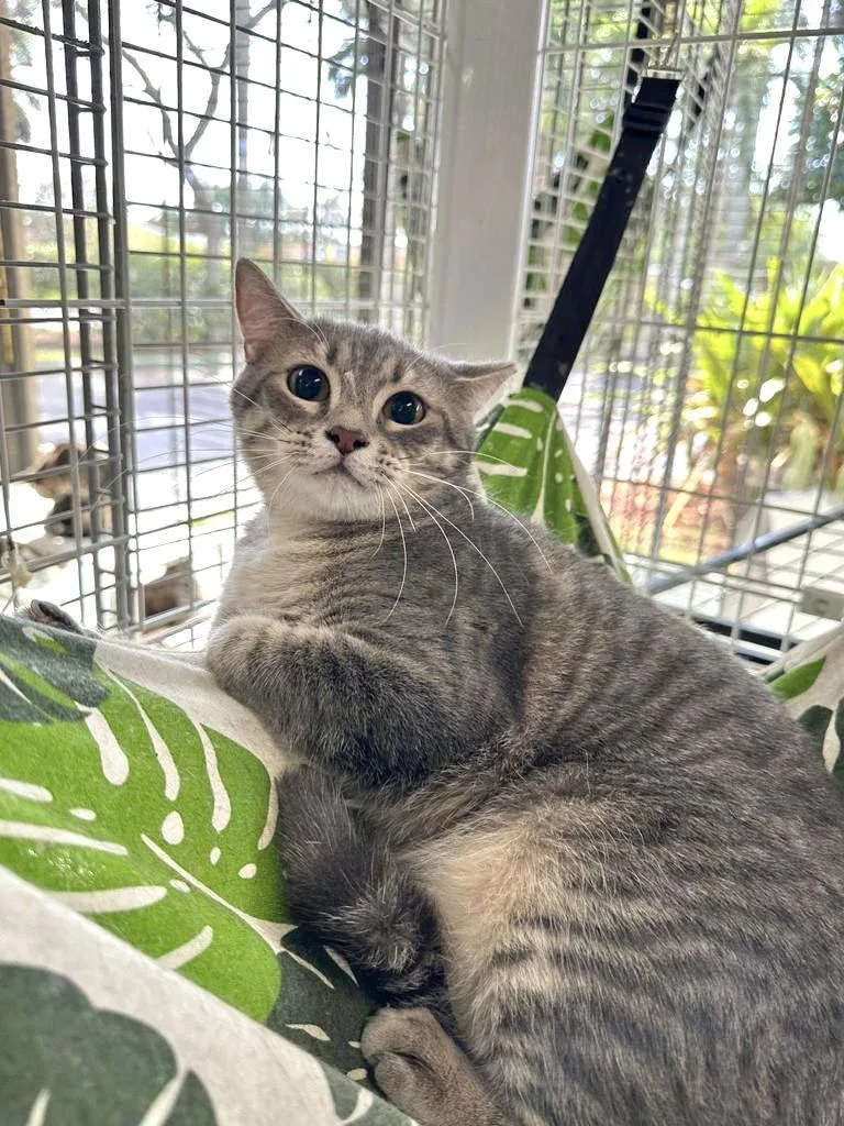 Jasmine Tg thumbnail 2