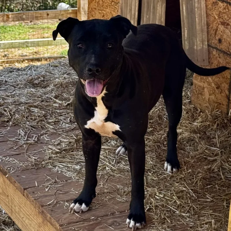 Billy Jean thumbnail 2