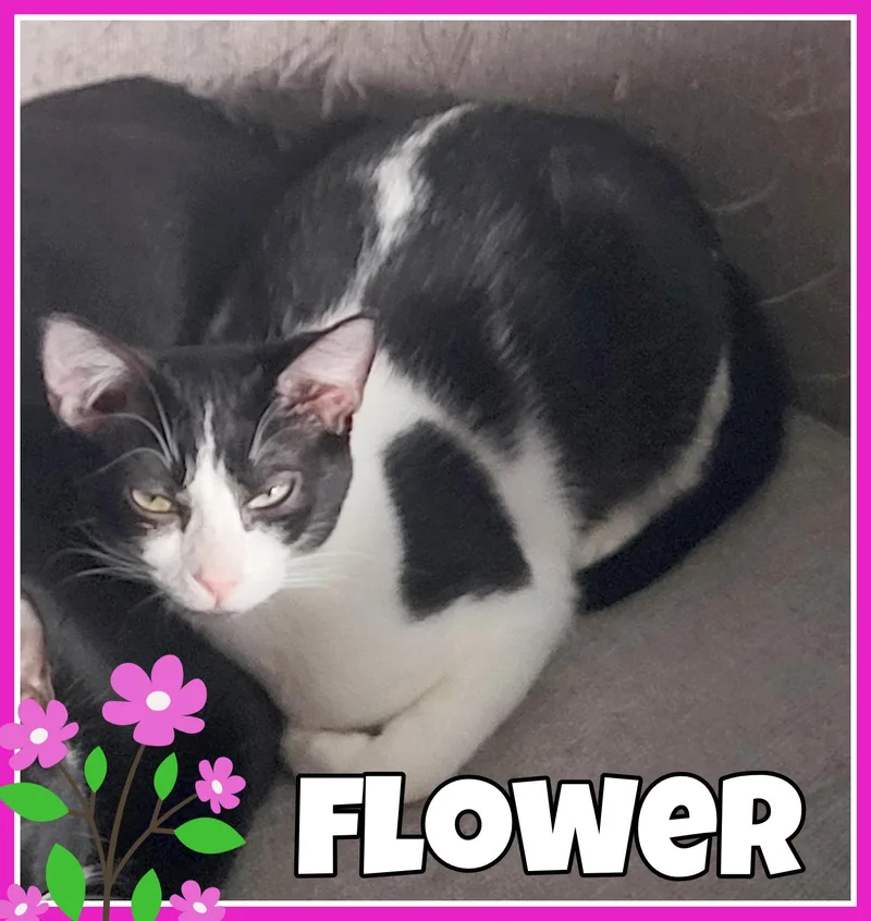 Flower thumbnail 3