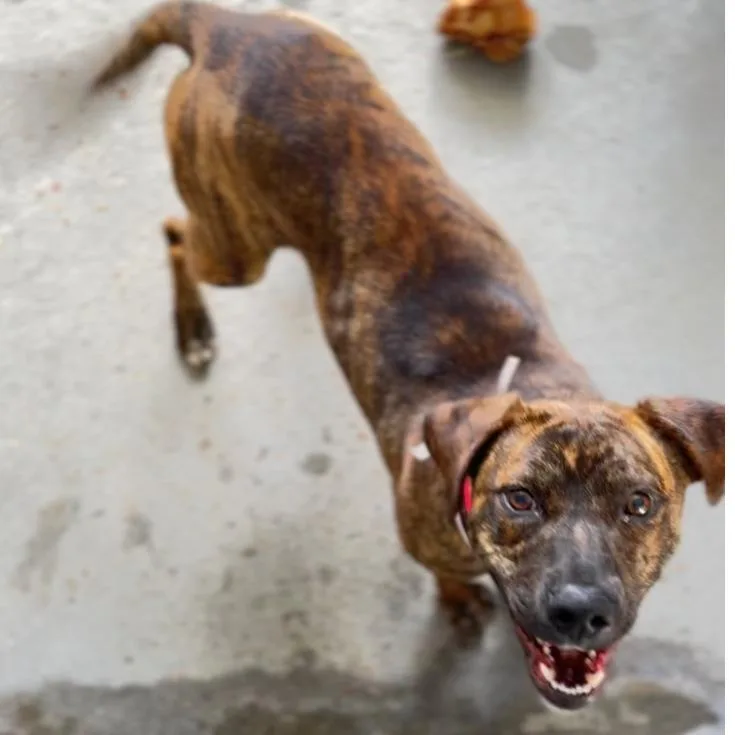 Ashley A thumbnail 2