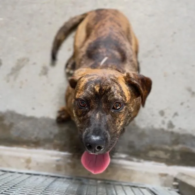 Ashley A thumbnail 3