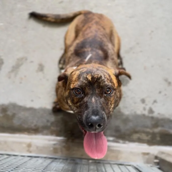 Ashley A thumbnail 4