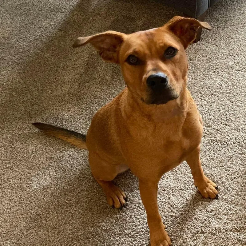 Ellie