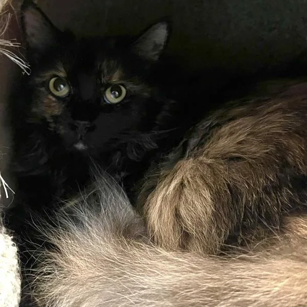 Luna