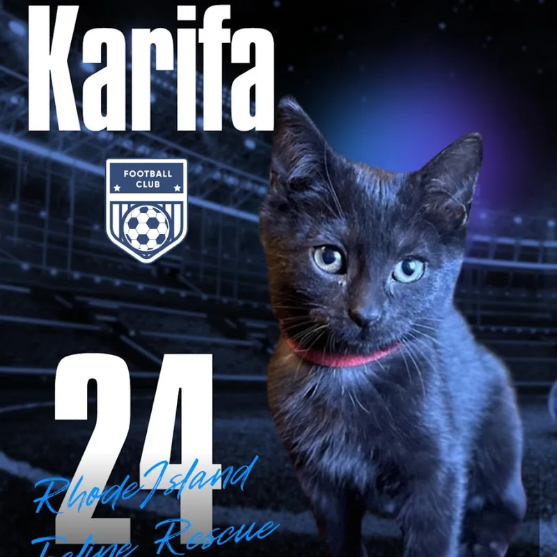 Karifa thumbnail 3