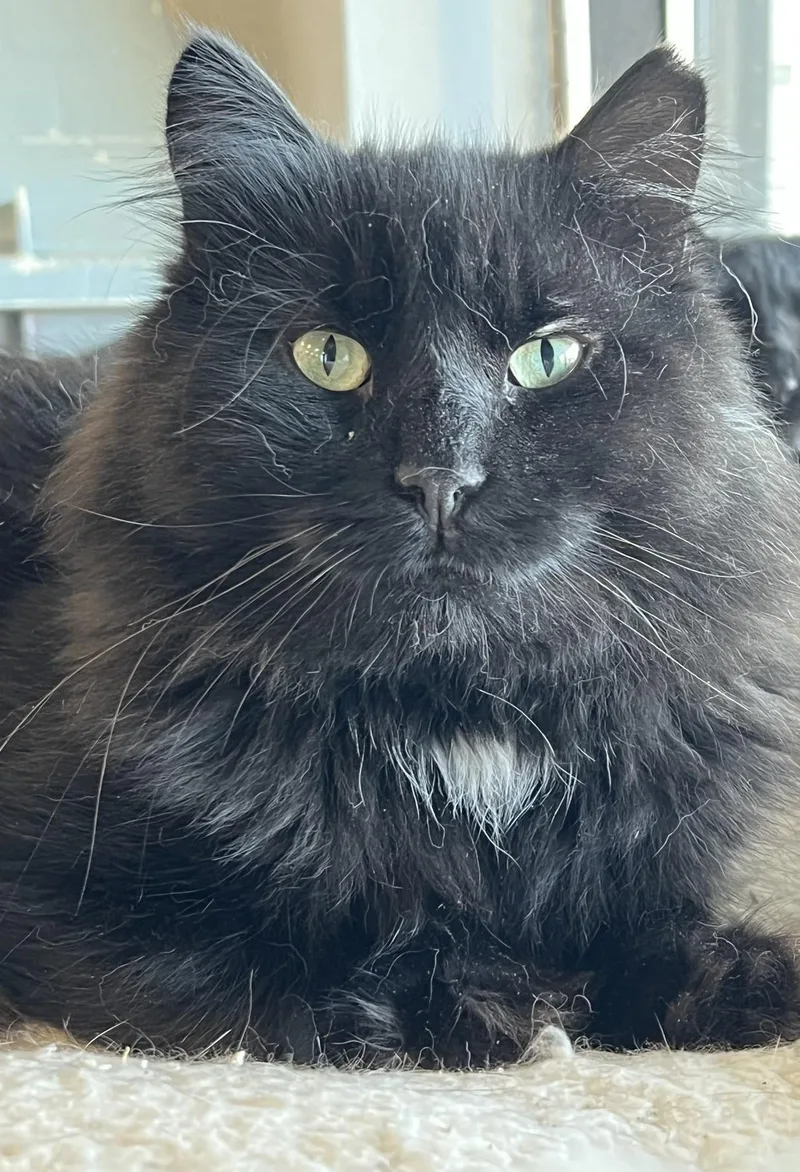 Styx thumbnail 4