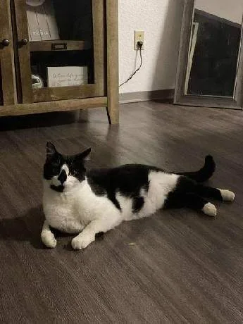 Winston