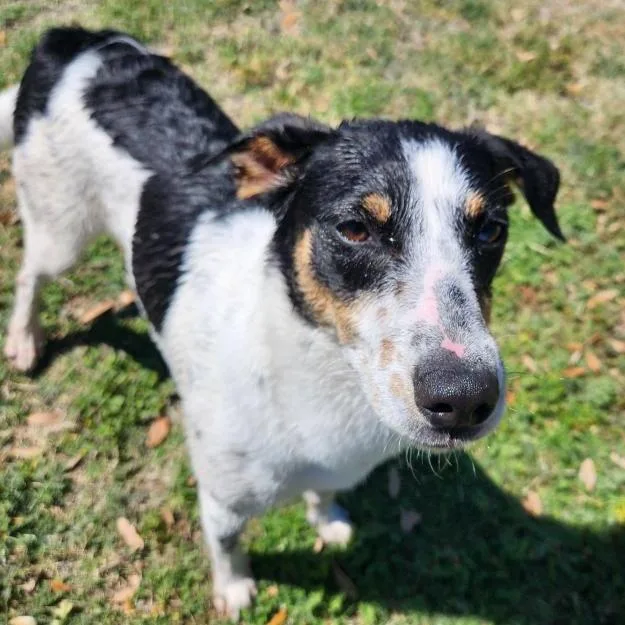 Penelope thumbnail 4