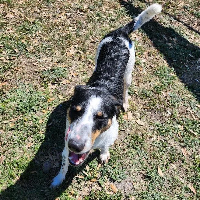 Penelope thumbnail 6