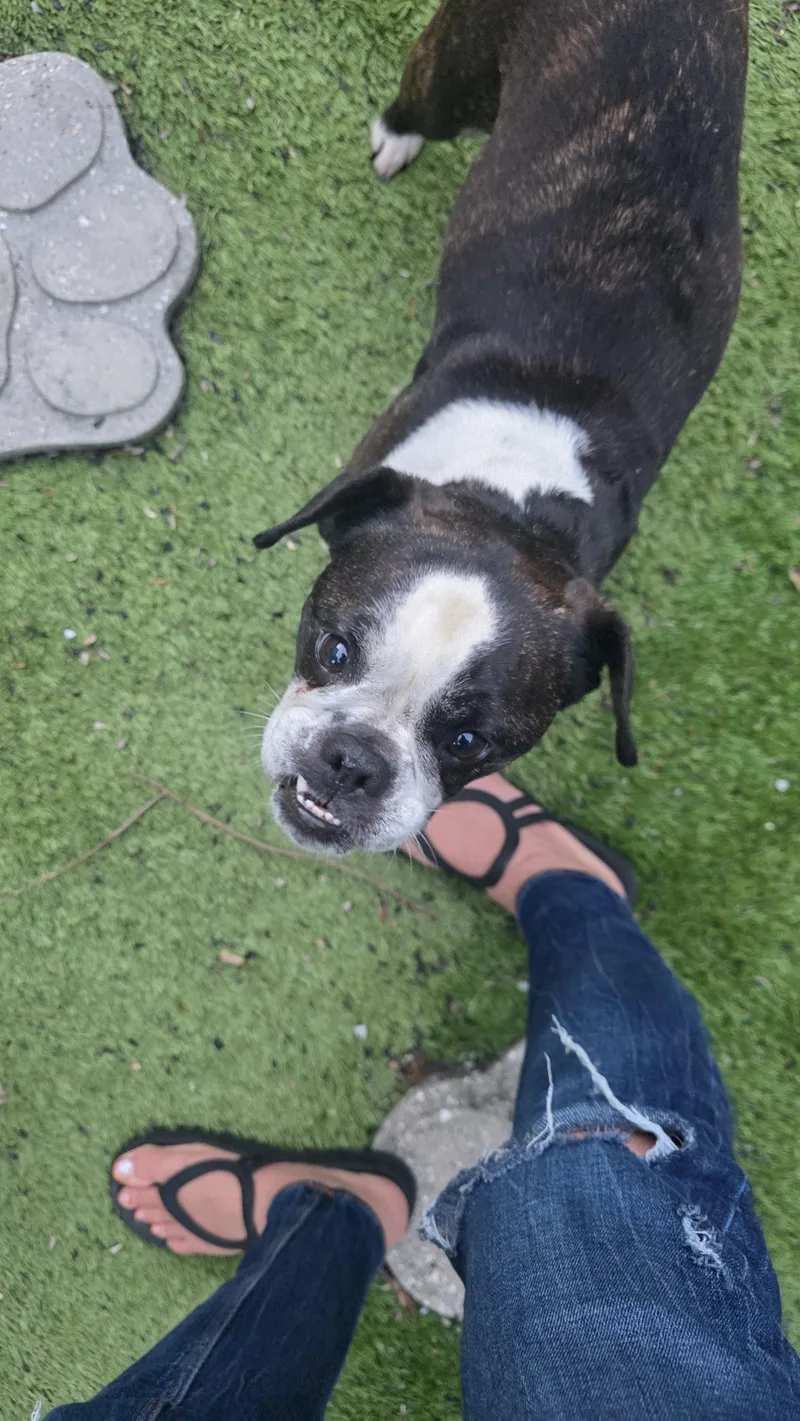 Mia