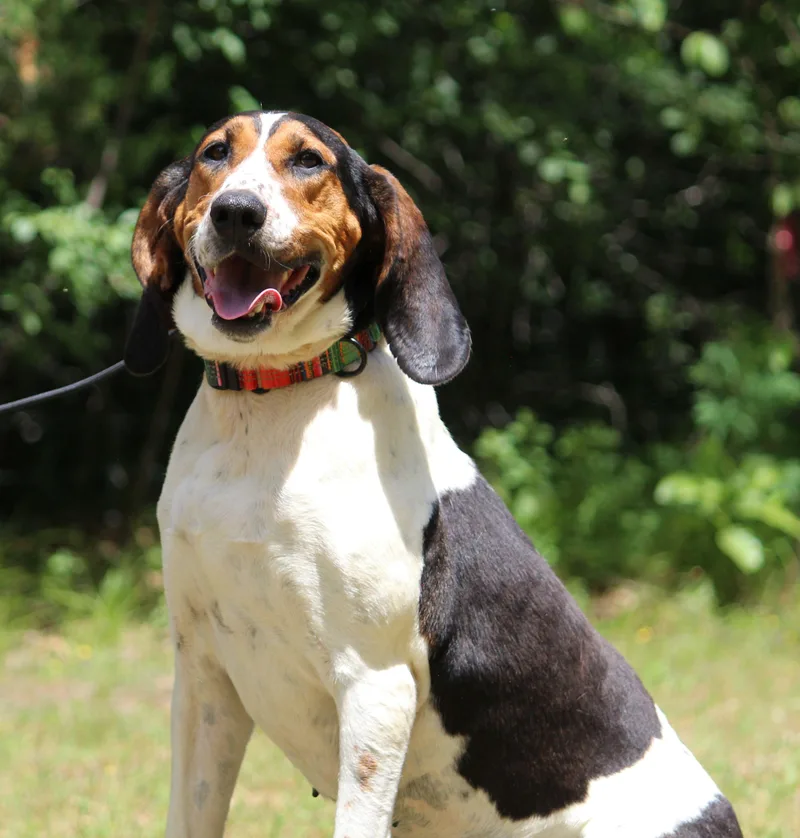 June Carter thumbnail 4