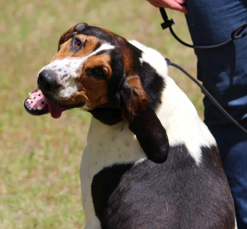 June Carter thumbnail 5