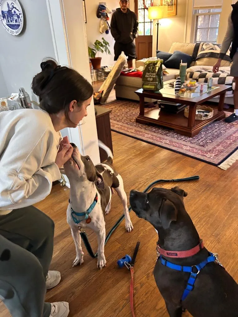 Honeybell thumbnail 3