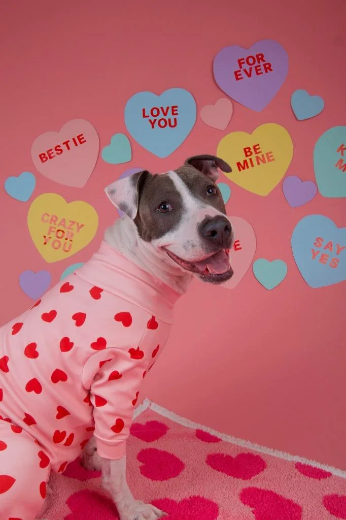 Honeybell thumbnail 4