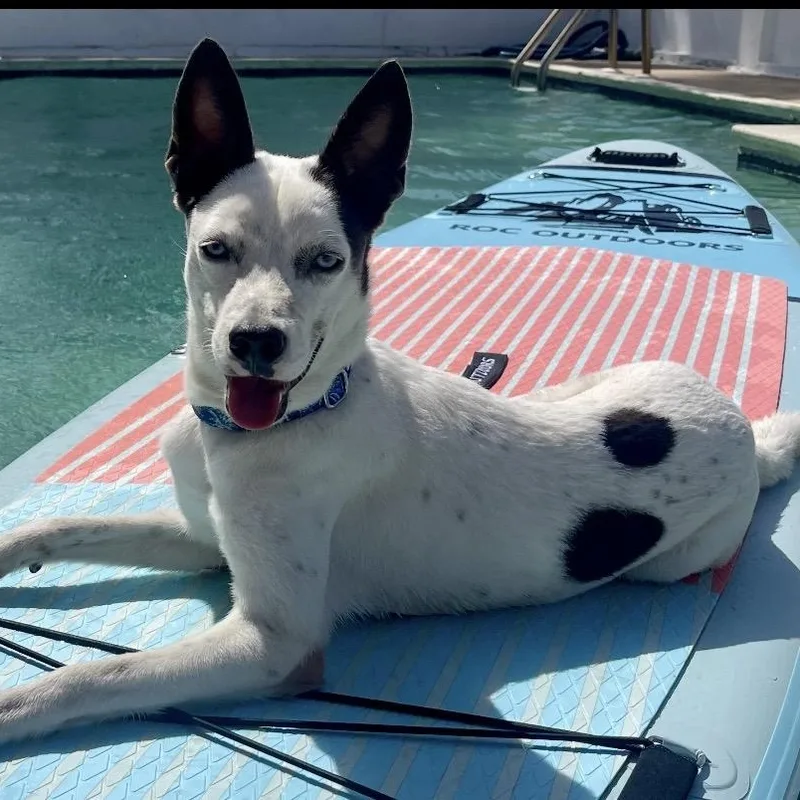 Kona thumbnail 6