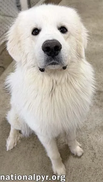 Clint In Oh  thumbnail 2