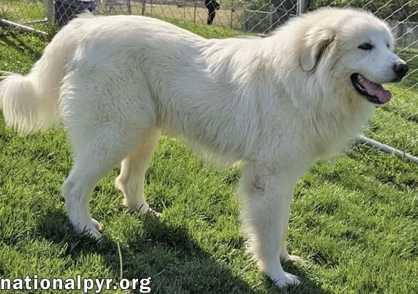 Clint In Oh  thumbnail 3