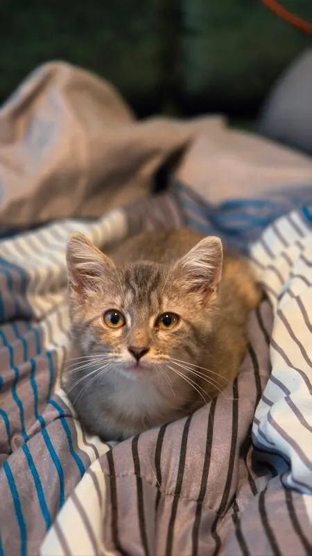 Libby Lucille thumbnail 2