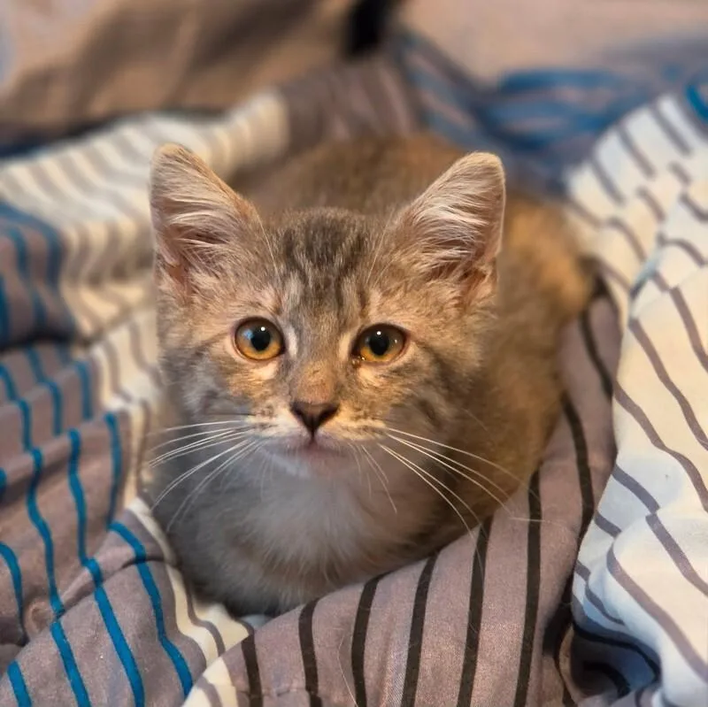 Libby Lucille thumbnail 3