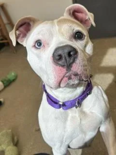 Skye