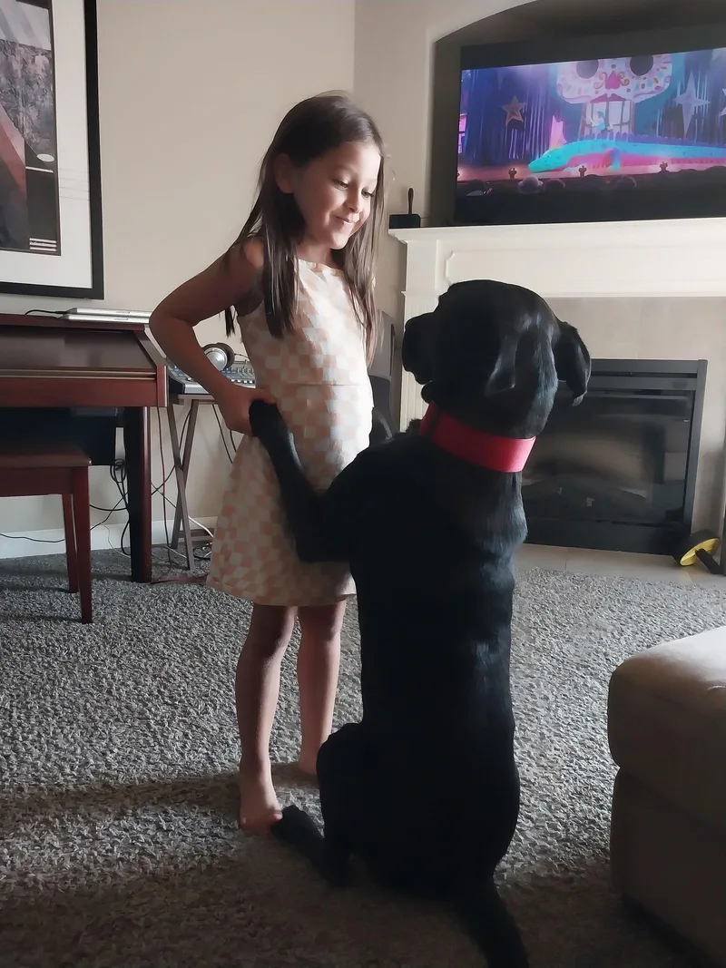 Nikko Cl thumbnail 3