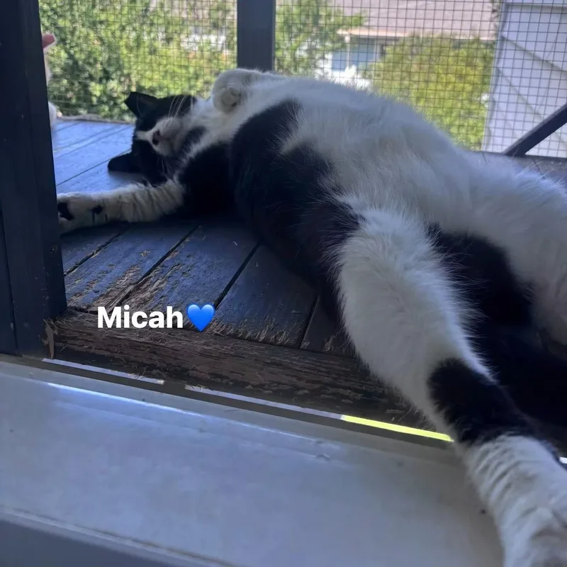 Micah thumbnail 2