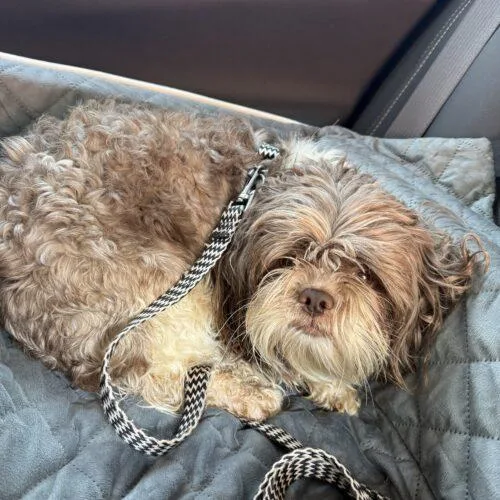 Cleophus Leroy thumbnail 2