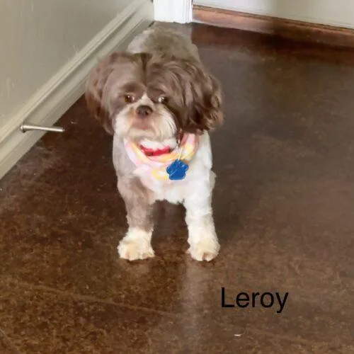 Cleophus Leroy thumbnail 3