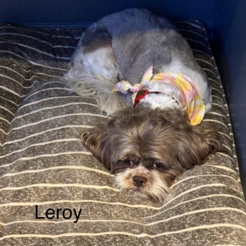 Cleophus Leroy thumbnail 4