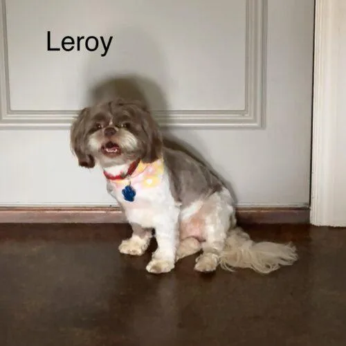 Cleophus Leroy thumbnail 5