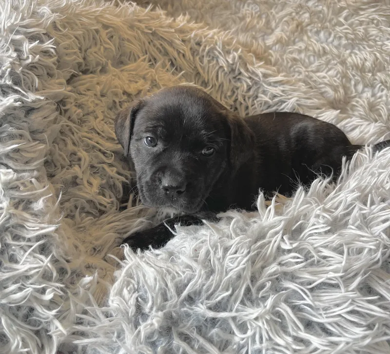 Sally Brown thumbnail 3