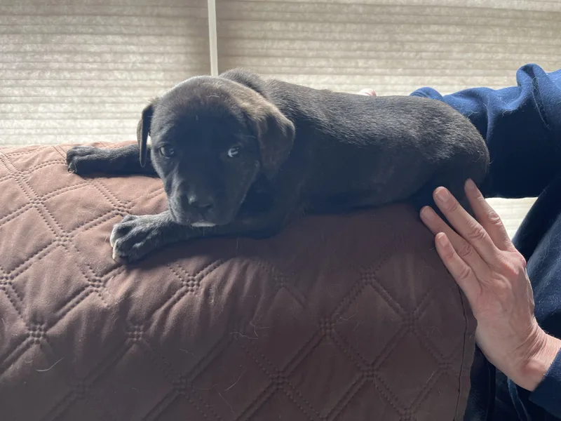 Sally Brown thumbnail 4