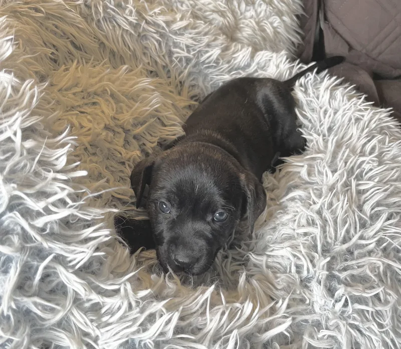 Sally Brown thumbnail 5