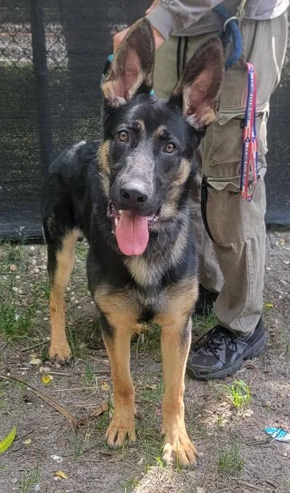 Zeus
