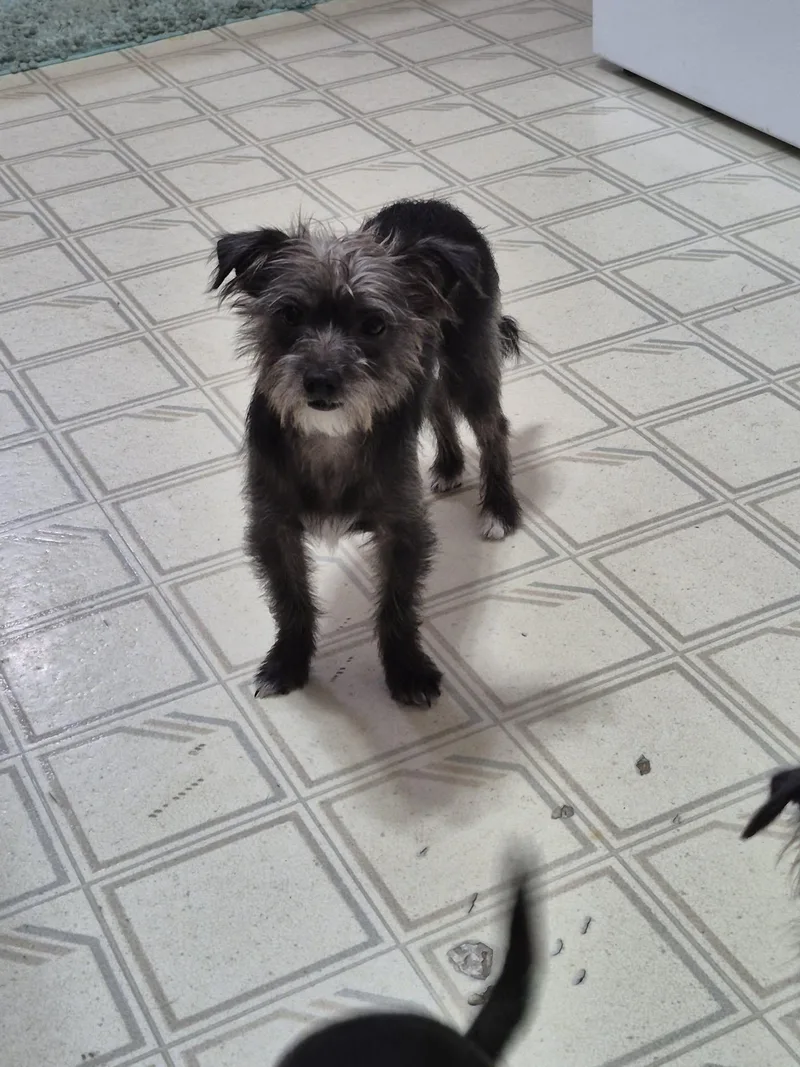 Eddie