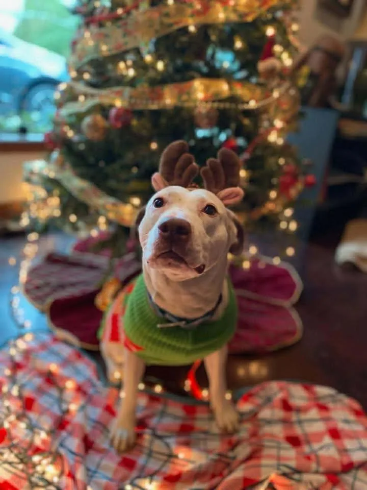 Janice Joplin thumbnail 2