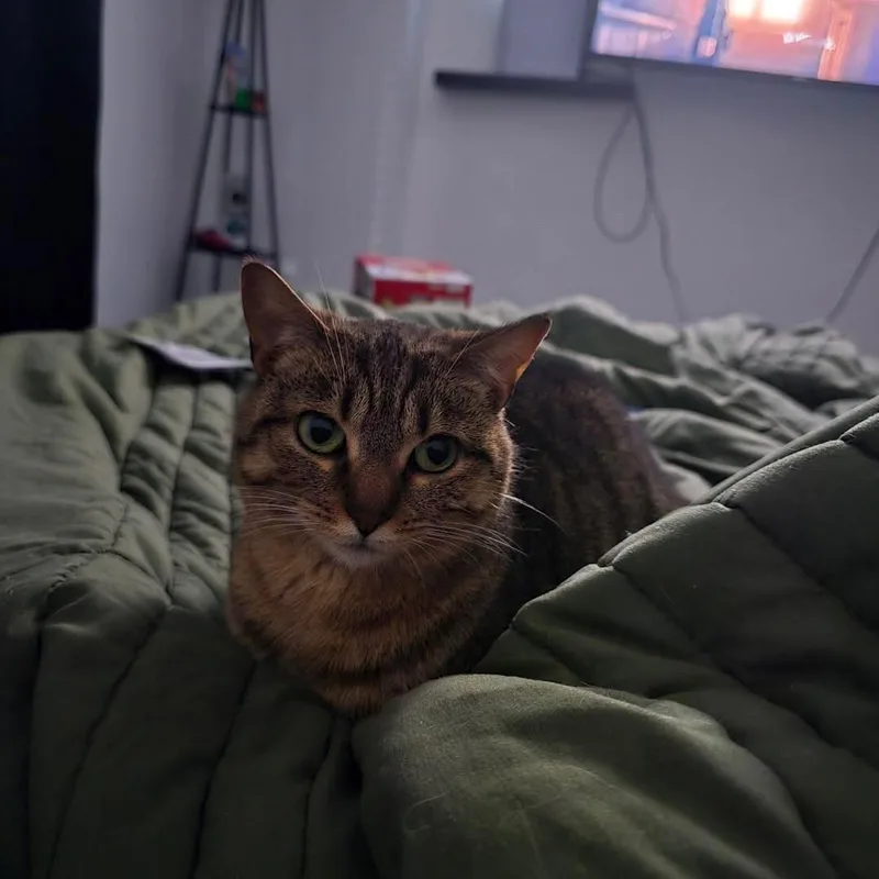 Peanut thumbnail 2