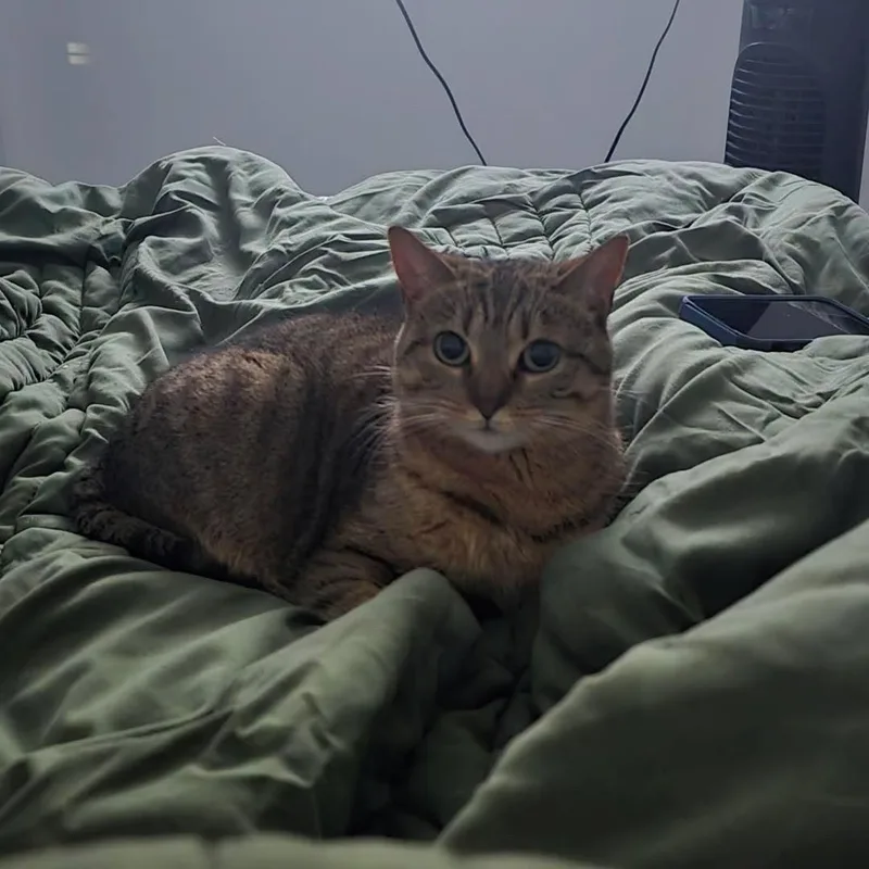 Peanut thumbnail 3