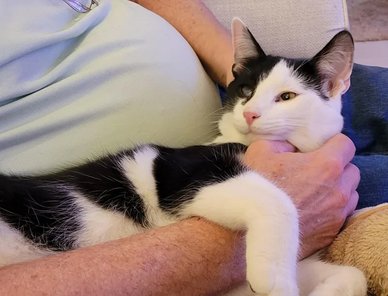 Waylon Wagyu And Hugh thumbnail 4