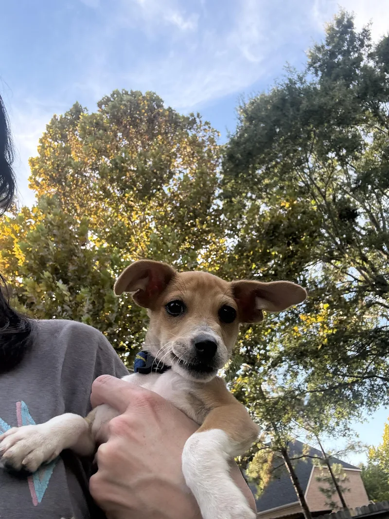 Charlie thumbnail 4