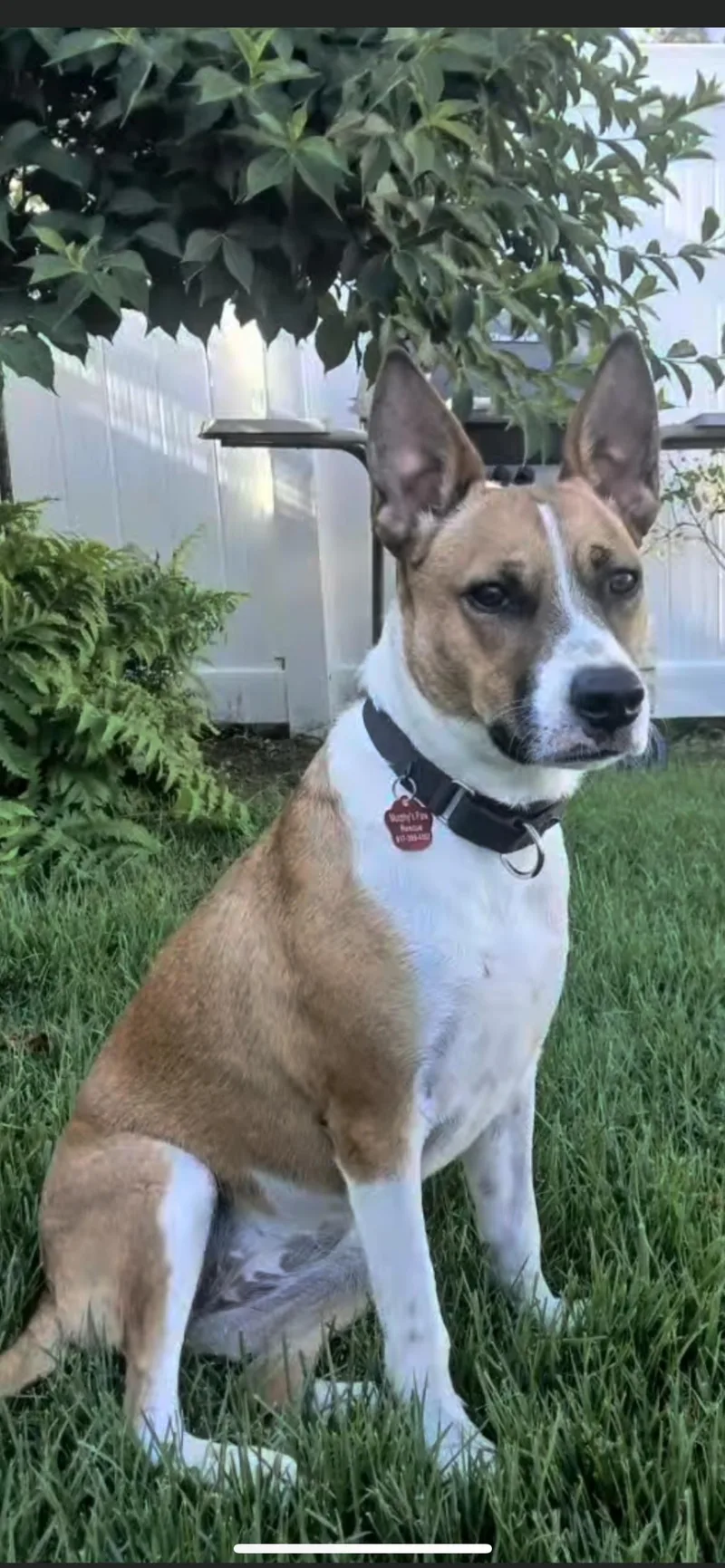 Maggie thumbnail 2