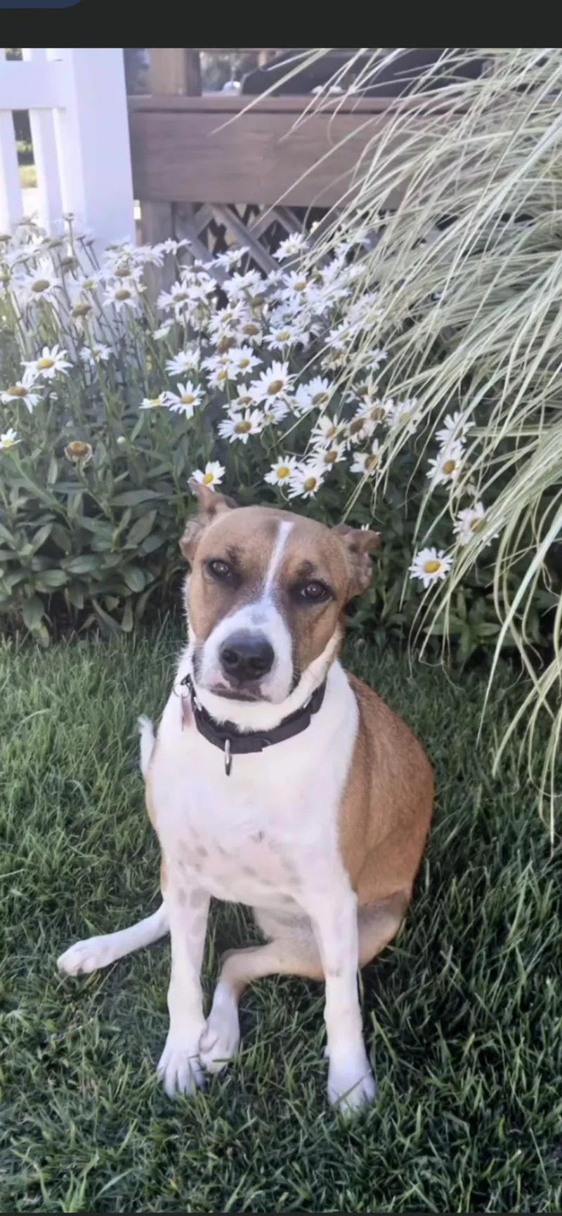 Maggie thumbnail 4