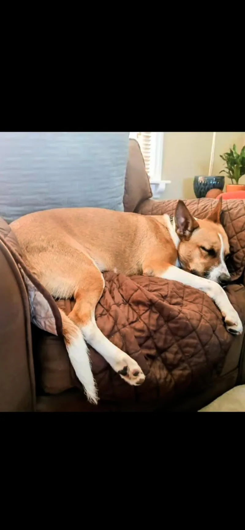 Maggie thumbnail 5