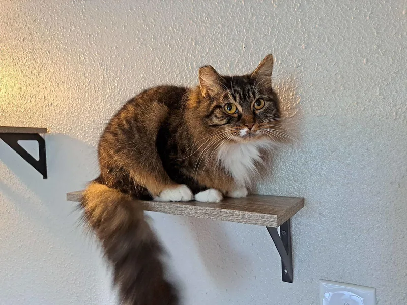 Hera   Offered thumbnail 2