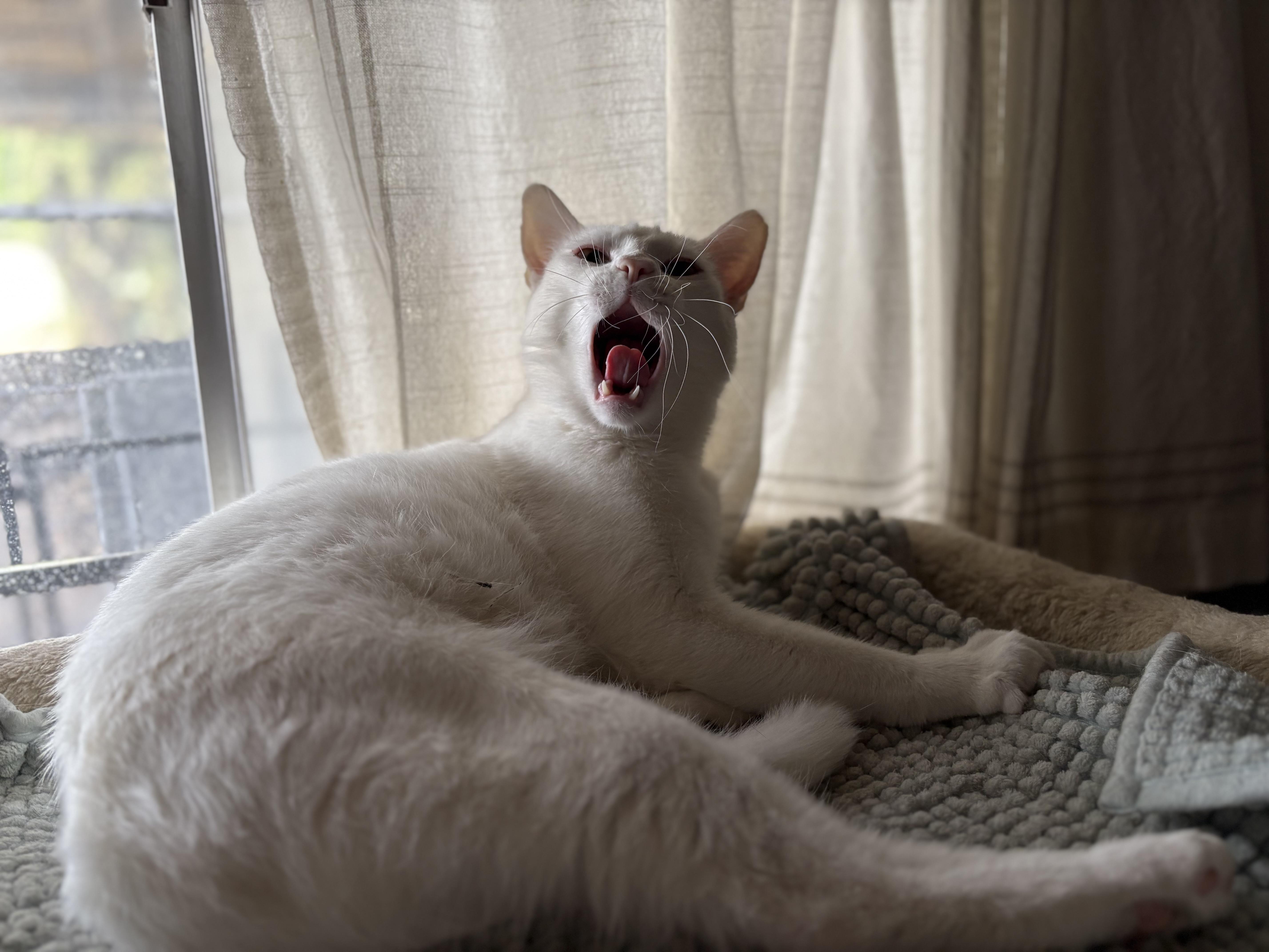 Randy & Earl  thumbnail 2