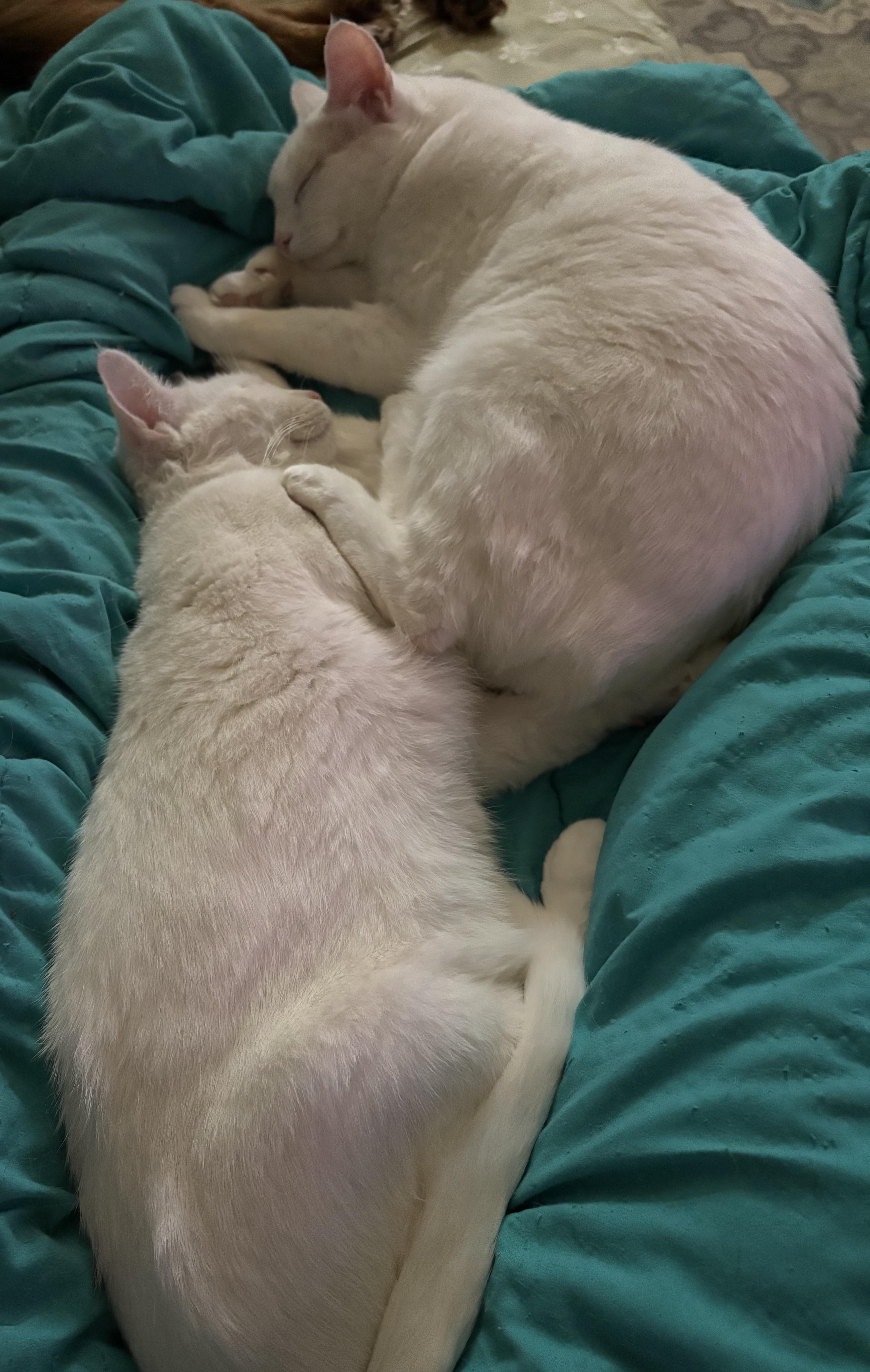 Randy & Earl  thumbnail 3