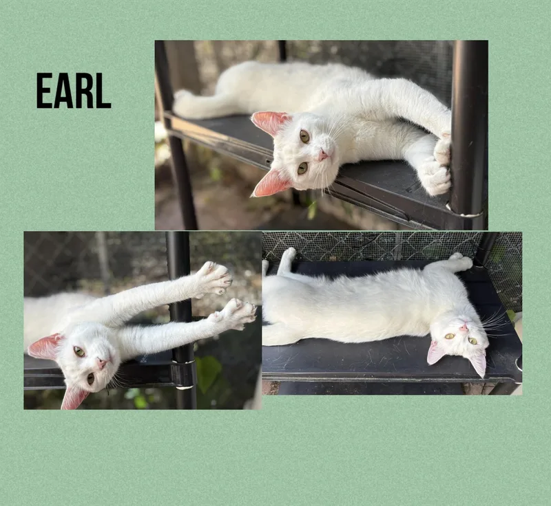 Randy & Earl  thumbnail 4