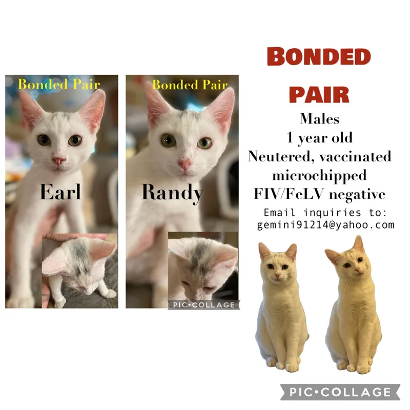 Randy & Earl  thumbnail 5