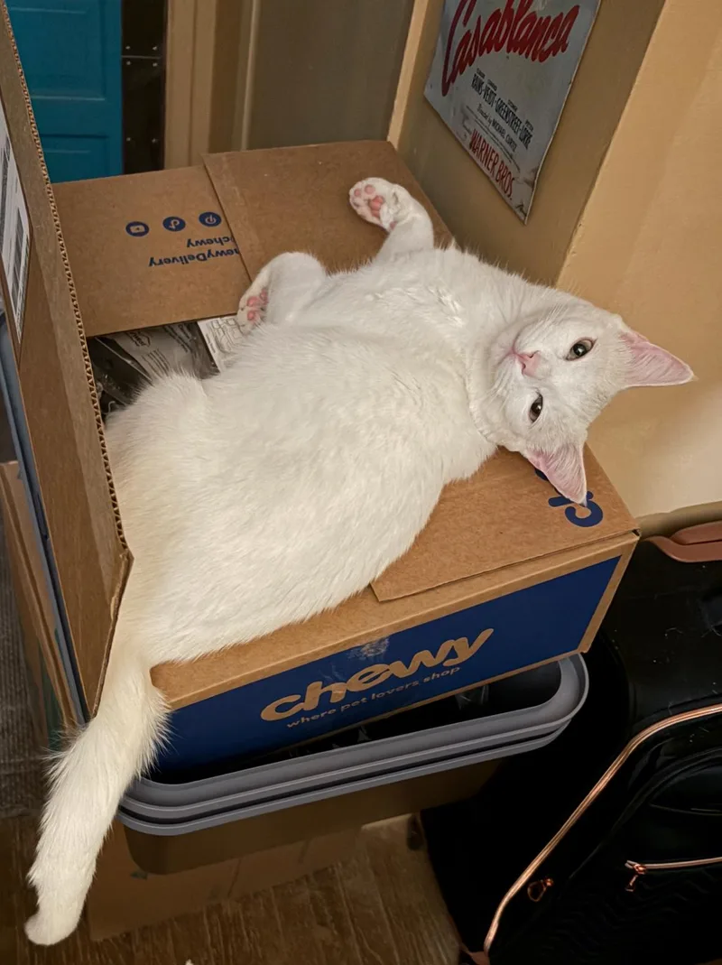 Randy & Earl  thumbnail 6