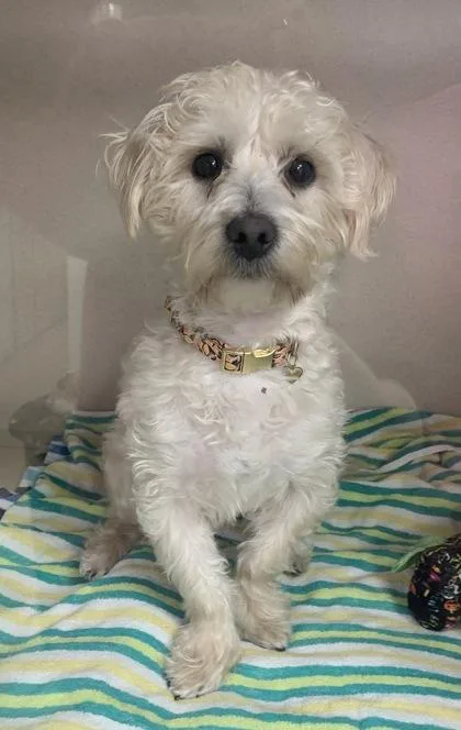 Hercules Please Read My thumbnail 2